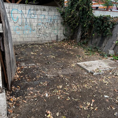 Yard Clean Up