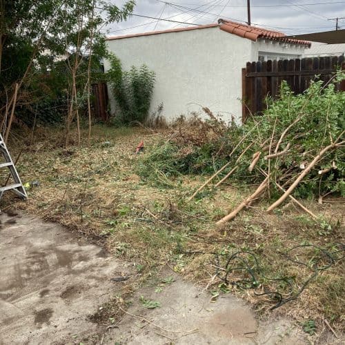 Yard Waste Debris Removal
